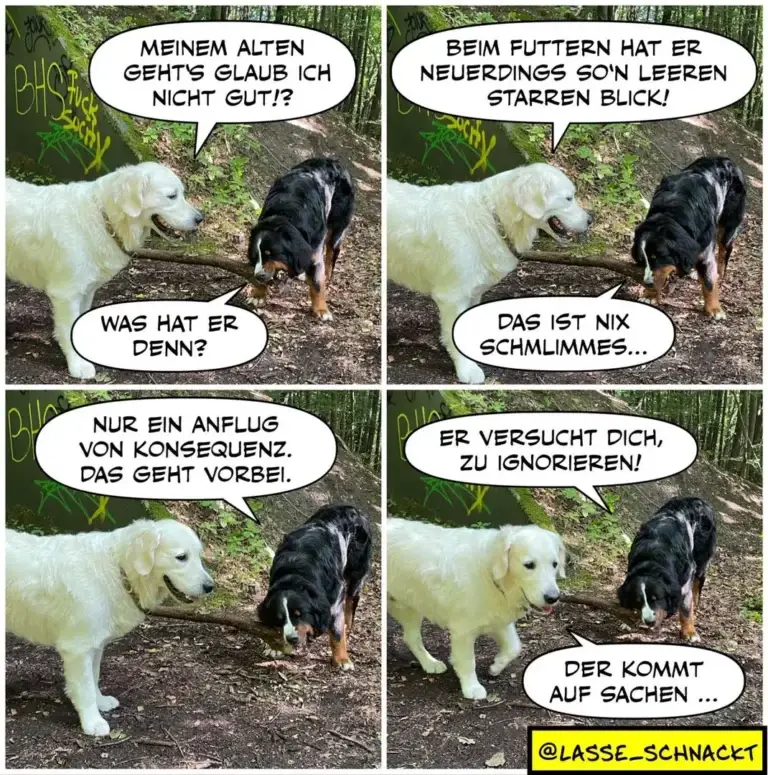 Weisser und schwarzer Hund unterhalten sich auf Waldweg. Weisser Hund erklärt dem schwarzen, dass dieser nur ignoriert wird, weil der Halter konsequent sein will.