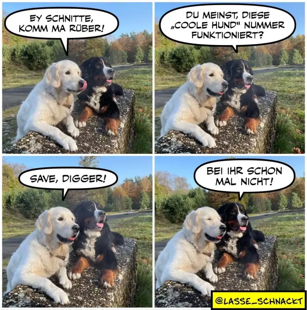 Zwei Hunde sitzen auf einem Baumstamm. Der weisse Hund fordert den schwarzen auf: «Ey Schnitte, komm ma rüber!» In Panel 2 fragt der schwarze Hund skeptisch: «Du meinst, diese ‹coole Hund› Nummer funktioniert?» In Panel 3 sagt der weisse Hund: «Save, Digger!» In Panel 4 antwortet der schwarze Hund trocken: «Bei ihr schon mal nicht!»