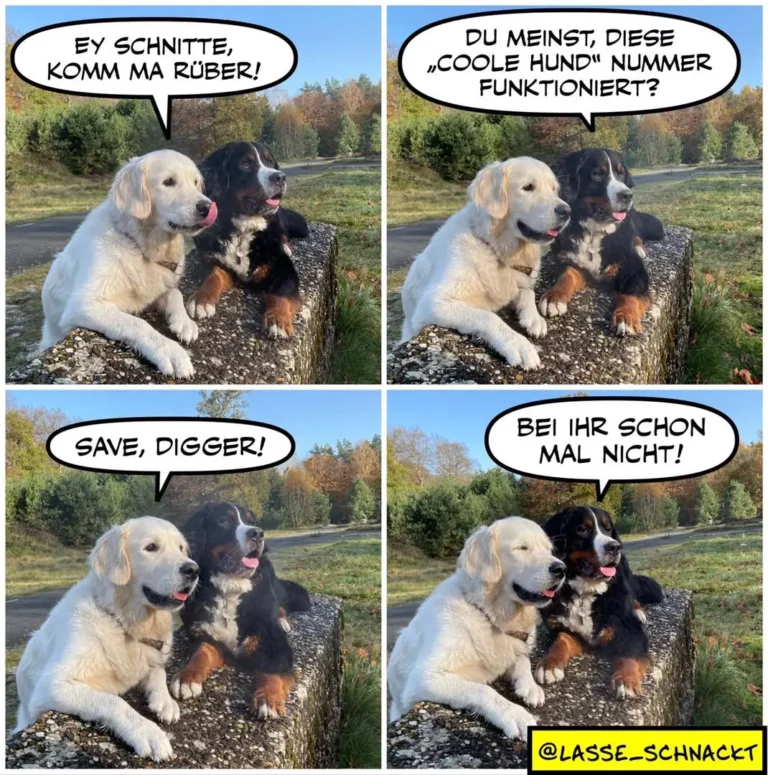 Zwei Hunde sitzen auf einem Baumstamm. Der weisse Hund fordert den schwarzen auf: «Ey Schnitte, komm ma rüber!» In Panel 2 fragt der schwarze Hund skeptisch: «Du meinst, diese ‹coole Hund› Nummer funktioniert?» In Panel 3 sagt der weisse Hund: «Save, Digger!» In Panel 4 antwortet der schwarze Hund trocken: «Bei ihr schon mal nicht!»