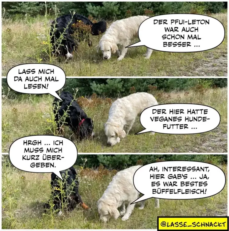 Zwei Hunde beim Spaziergang: schwarzer Hund liest Futterpackung, weisser Hund schaut zu, Dialog über Pfui-Leton und veganes Hundefutter