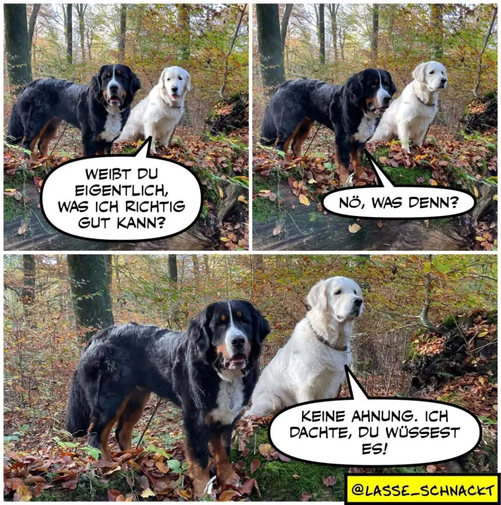 Drei Hunde im Wald: schwarzer Hund fragt weissen Hund, ob er richtig gut kann. Weisser Hund antwortet verwirrt 'Nö, was denn?'. Im letzten Panel schaut schwarzer Hund finster und sagt 'Keine Ahnung. Ich dachte, du wüsstest es!'