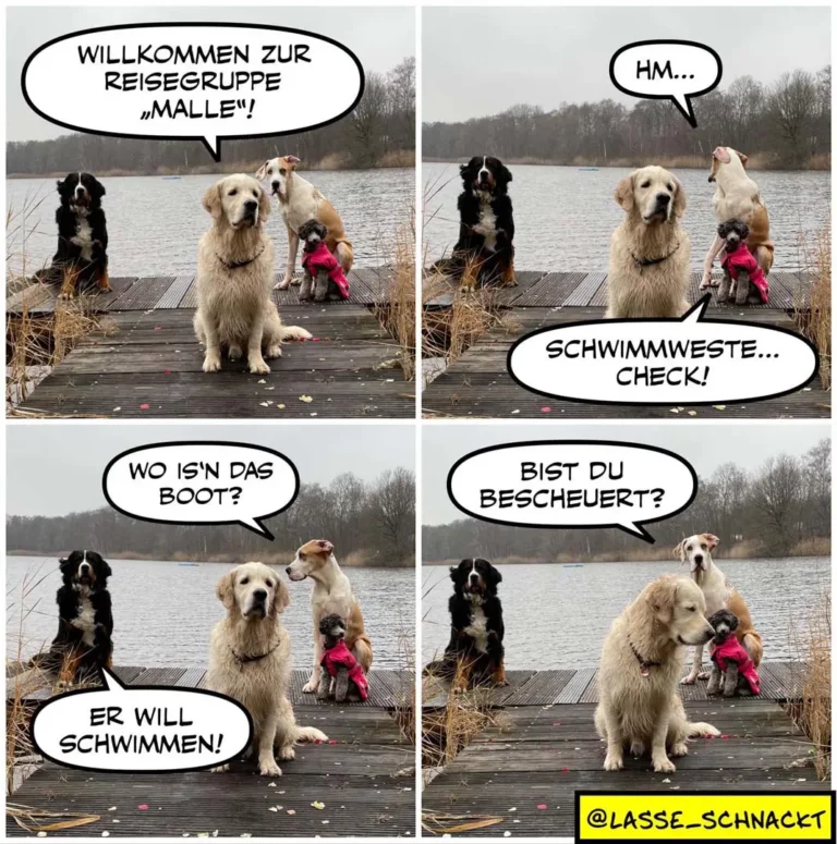 Vier-Panel-Comic: Vier Hunde am See. Panel 1: Schwarzer Hund begrüsst Gruppe zur Reisegruppe «Malle». Panel 2: Brauner Hund antwortet zögernd «Hm...», schwarzer Hund prüft «Schwimmweste... Check!» Panel 3: Brauner Hund fragt «Wo is'n das Boot?», kleiner Hund in Pink will schwimmen. Panel 4: Brauner Hund fragt «Bist du bescheuert?» während kleiner Hund schwimmt.