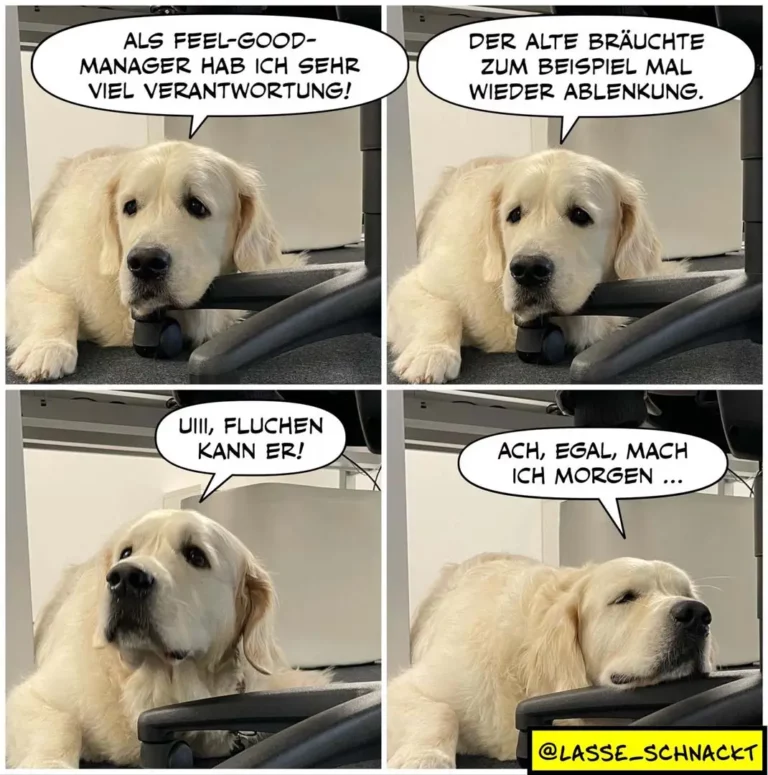 Lasse schnackt 202