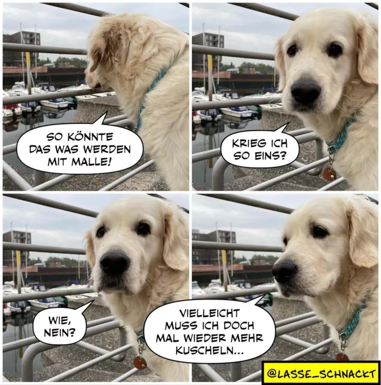 Weisser Labrador an Hafenmauer mit Leine, schaut auf Wasser. Vierteiliger Comic mit Sprechblasen.