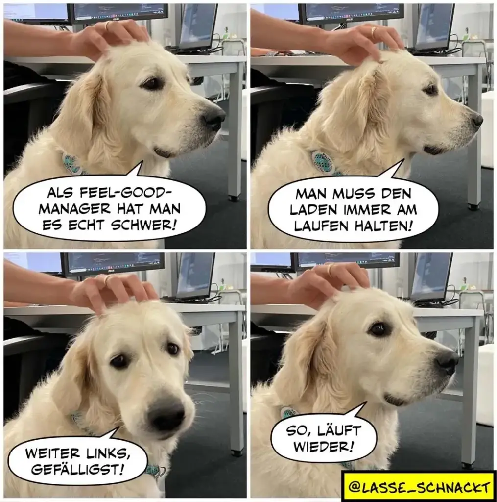 Weisser Labrador in vier Panels: wird gestreichelt und denkt über Feel-Good-Manager nach, dann über Laden-Management, dann über Links-Rechts-Kommandos, abschliessend entspannt mit Text 'So, läuft wieder!'