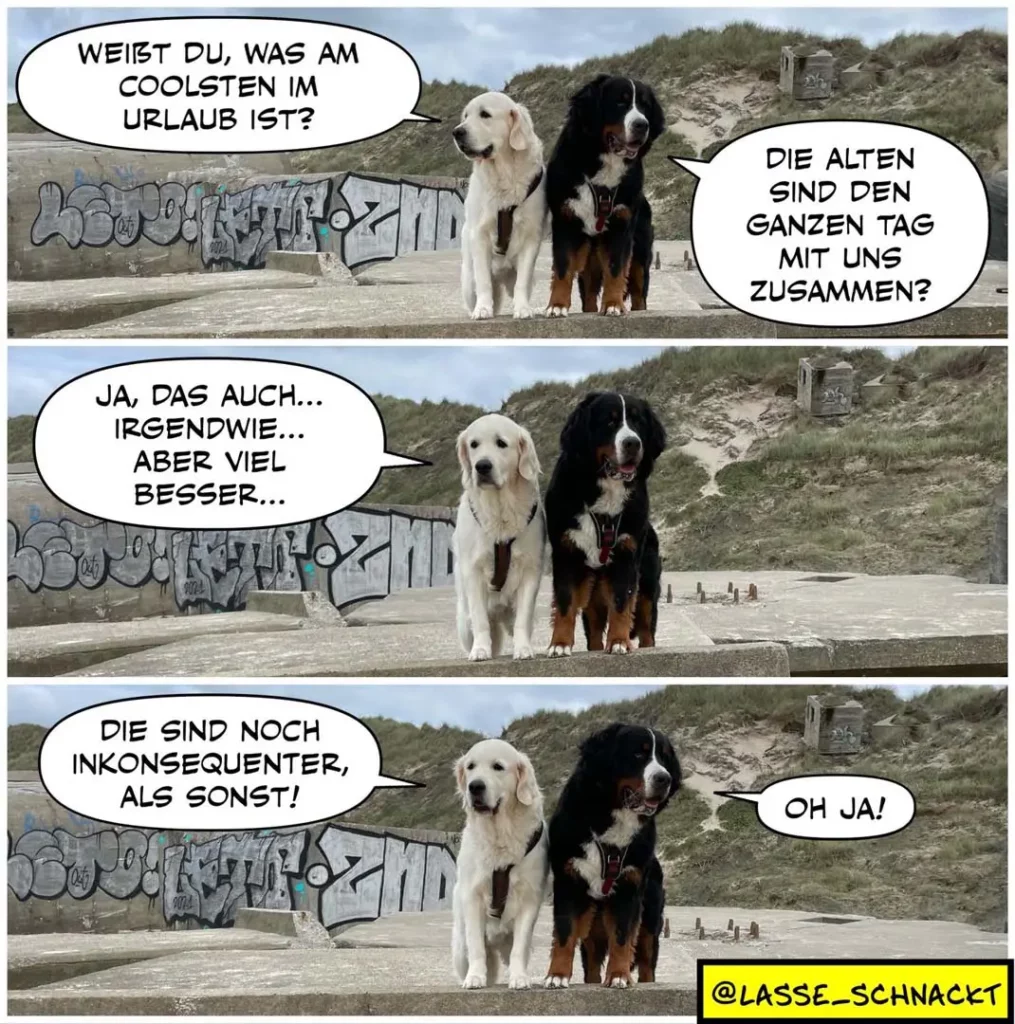 Weisser und schwarzbrauner Hund stehen vor Graffiti-Wand an Strand. Weisser Hund fragt, schwarzbrauner antwortet in drei Panels.