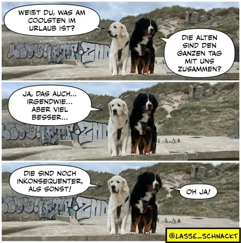 Weisser und schwarzbrauner Hund stehen vor Graffiti-Wand an Strand. Weisser Hund fragt, schwarzbrauner antwortet in drei Panels.
