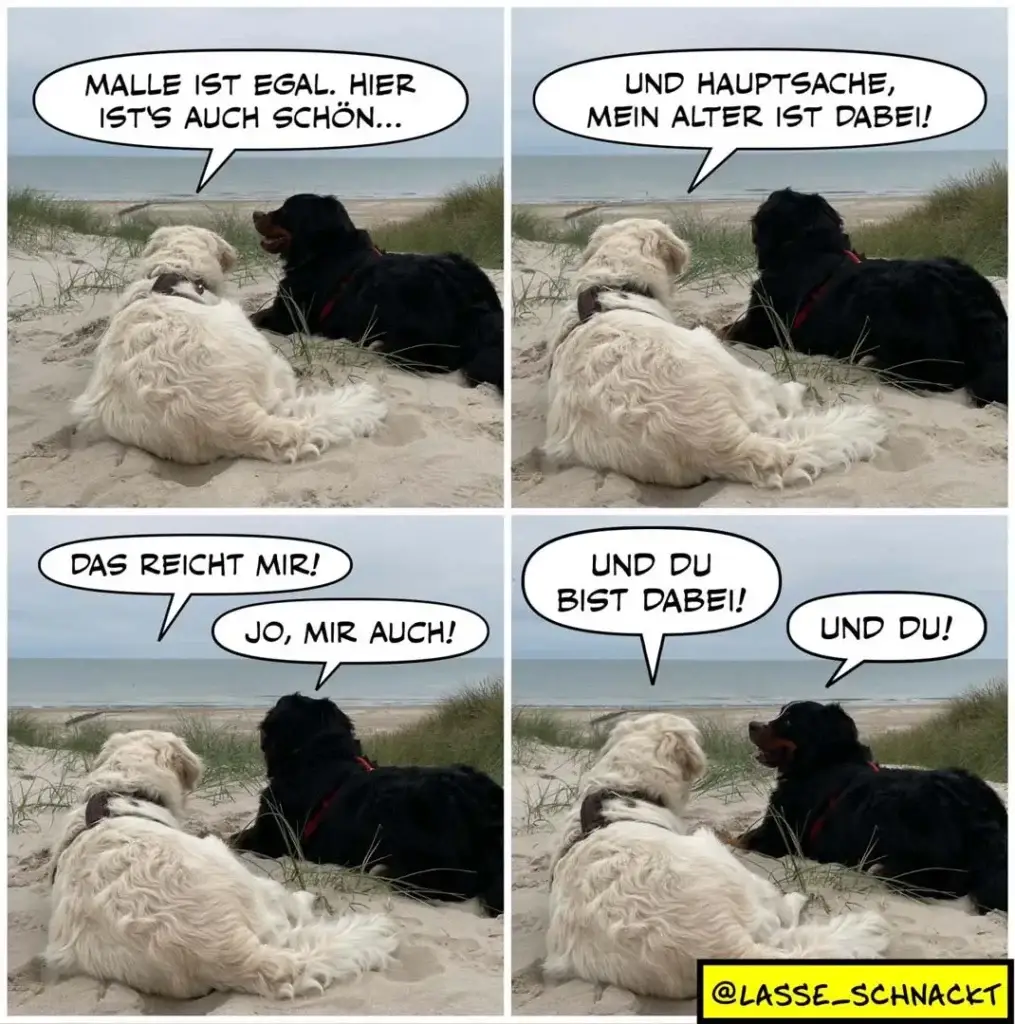 Weisser und schwarzer Hund liegen zusammen im Sand an einem Strand. Der schwarze Hund spricht zum weissen: «Malle ist egal, hier ist's auch schön...» Der weisse antwortet: «Und Hauptsache, mein Alter ist dabei!»