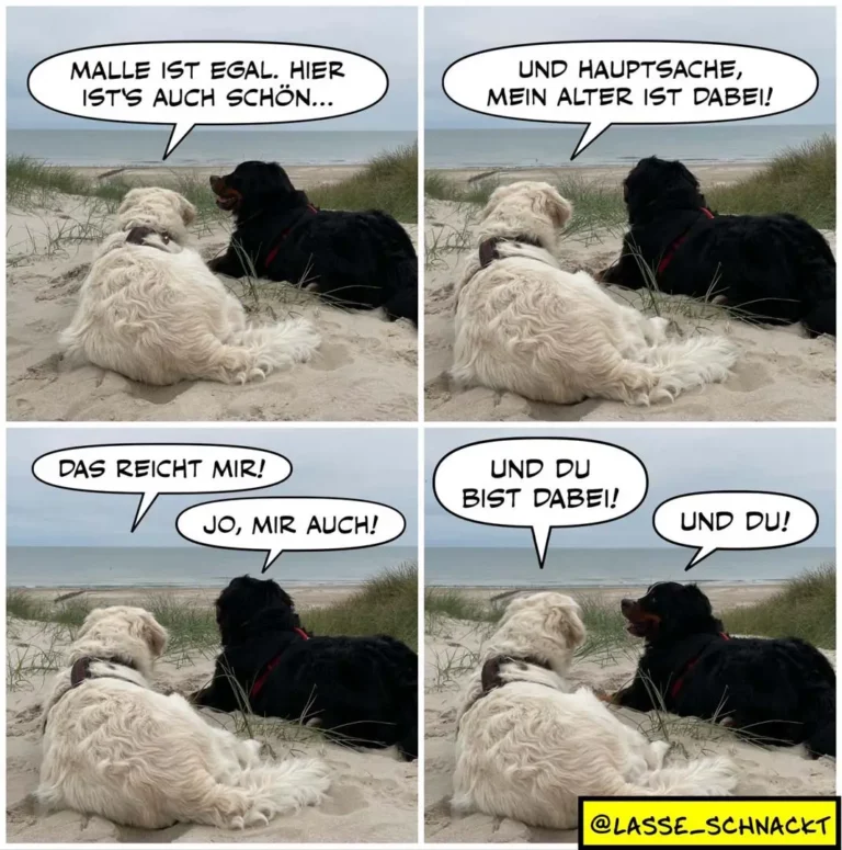 Weisser und schwarzer Hund liegen zusammen im Sand an einem Strand. Der schwarze Hund spricht zum weissen: «Malle ist egal, hier ist's auch schön...» Der weisse antwortet: «Und Hauptsache, mein Alter ist dabei!»
