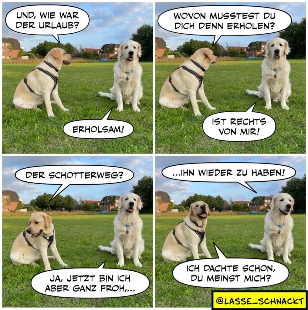 Zwei hellgelbe Labrador-ähnliche Hunde auf einer Wiese führen ein Dialog in vier Bildern: Der linke Hund fragt nach dem Urlaub, der rechte antwortet mit verschmitztem Gesicht.