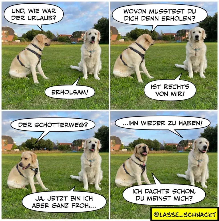 Zwei hellgelbe Labrador-ähnliche Hunde auf einer Wiese führen ein Dialog in vier Bildern: Der linke Hund fragt nach dem Urlaub, der rechte antwortet mit verschmitztem Gesicht.