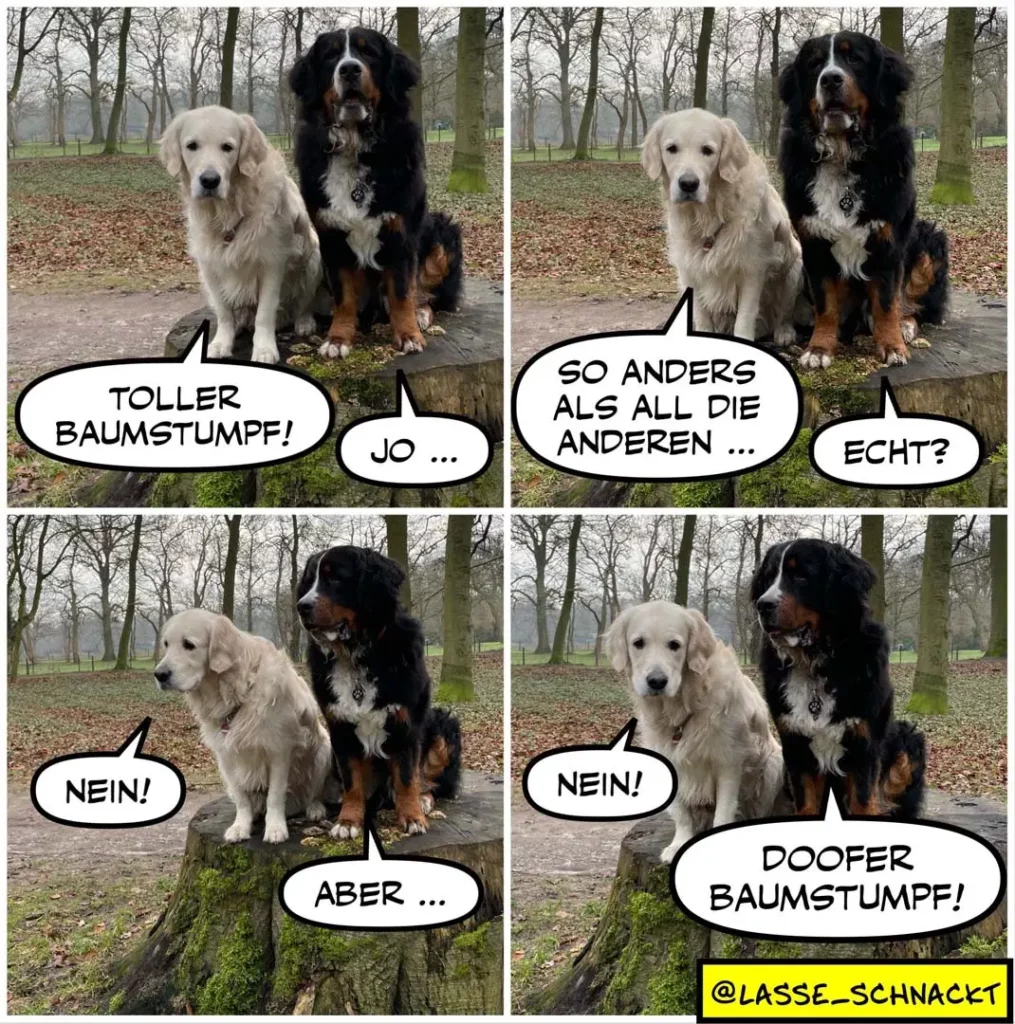 Weisser und schwarzer Hund sitzen nebeneinander auf Baumstumpf im Park. Der schwarze Hund sagt dem weissen Hund Sprüche auf, dieser antwortet wiederholt mit Nein.