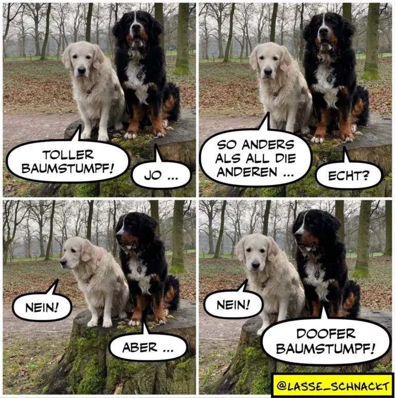 Weisser und schwarzer Hund sitzen nebeneinander auf Baumstumpf im Park. Der schwarze Hund sagt dem weissen Hund Sprüche auf, dieser antwortet wiederholt mit Nein.