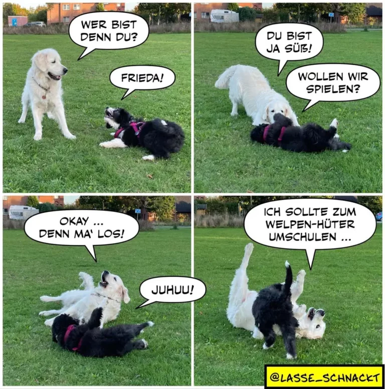 Weisser Hund fragt schwarzen Hund 'Wer bist denn du?', schwarzer Hund antwortet 'Du bist ja süss!', dann fragen sie sich gegenseitig zum Spielen auf, bis der schwarze Hund meint er sollte zum Welpen-Hüter-Umschulen