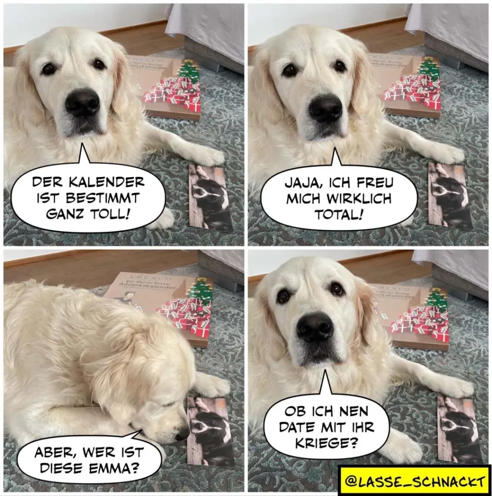 Weisser Golden Retriever schaut auf Adventskalender mit roten Päckchen, vier Panels mit Sprechblasen