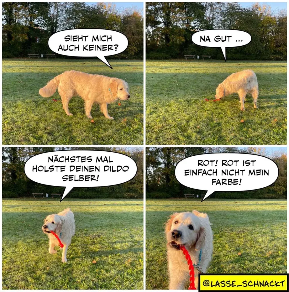 Vierteiler: Hund auf Wiese fragt Halter, ob er ihn sieht. Halter bejaht. Hund bukt sich, trägt rotes Spielzeug im Maul, sagt es sei nicht seine Farbe.