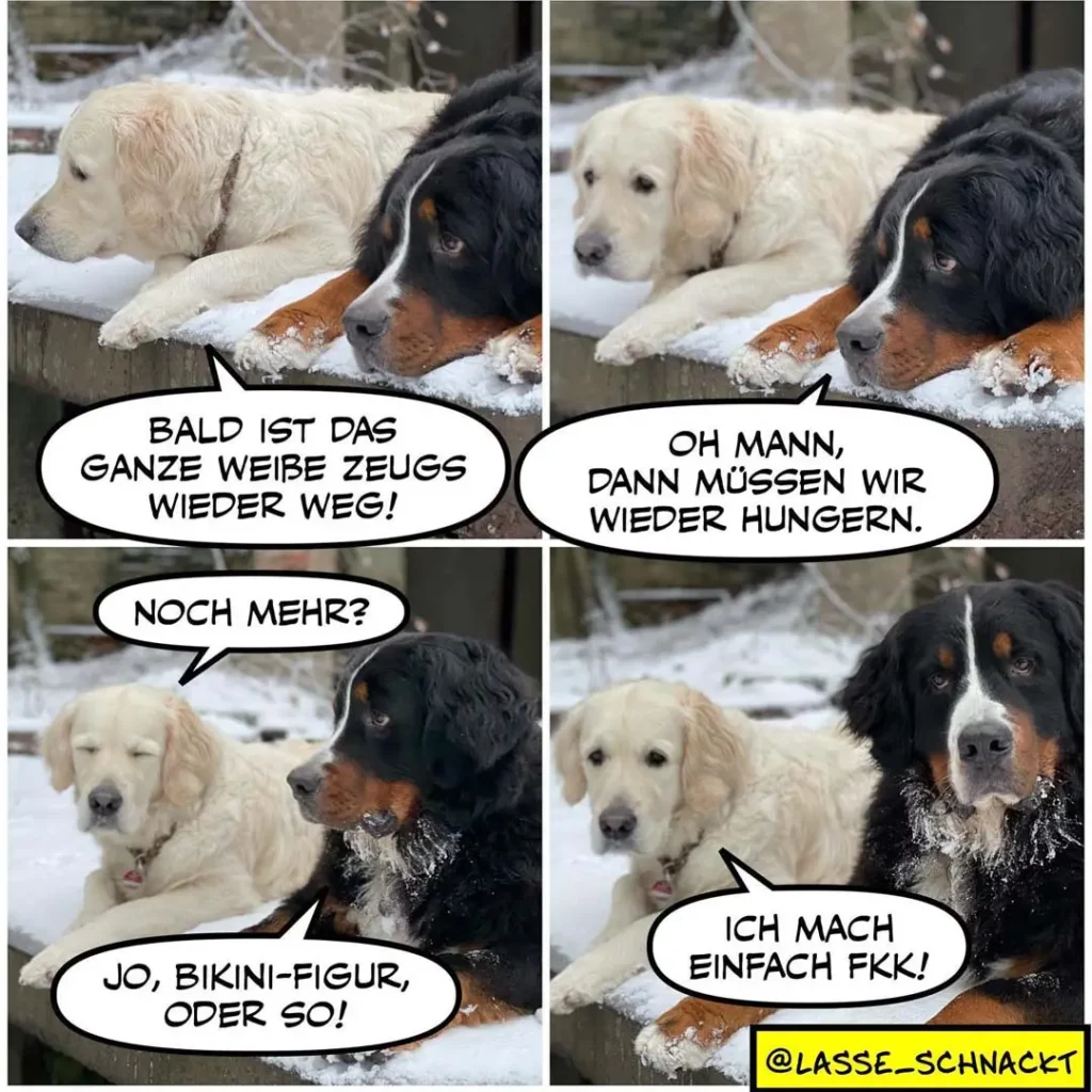Weisser Labrador und schwarzbrauner Hund liegen im Schnee. Der weisse Hund sagt dem anderen, dass sein ganzes Fell weg ist. Der schwarzbraune Hund antwortet, dass sie dann wieder hungern müssen, und fordert ihn auf, Bikini-Figur zu machen. Am Ende sagt der schwarzbraune Hund genervt: Ich mach einfach FKK!