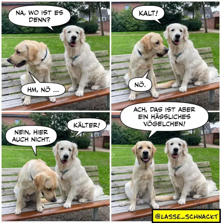 Zwei Labrador Retriever sitzen auf einer Bank. Der hellere Hund fragt den dunkleren: «Na, wo ist es denn?» Der dunkle antwortet: «Kalt!» Der helle: «Nö.» Im dritten Panel sagt der helle: «Nein, hier auch nicht.» Der dunkle: «Kälter!» Im vierten Panel antwortet der helle: «Ach, das ist aber ein hässliches Vogelchen!»
