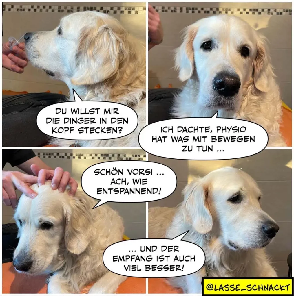 Vierteiliger Comic mit Hund und Halter: Halter fragt, ob Hund Finger in den Kopf stecken will; Hund antwortet ausweichend; unten rechts: entspannter Hund, der den Empfang lobt