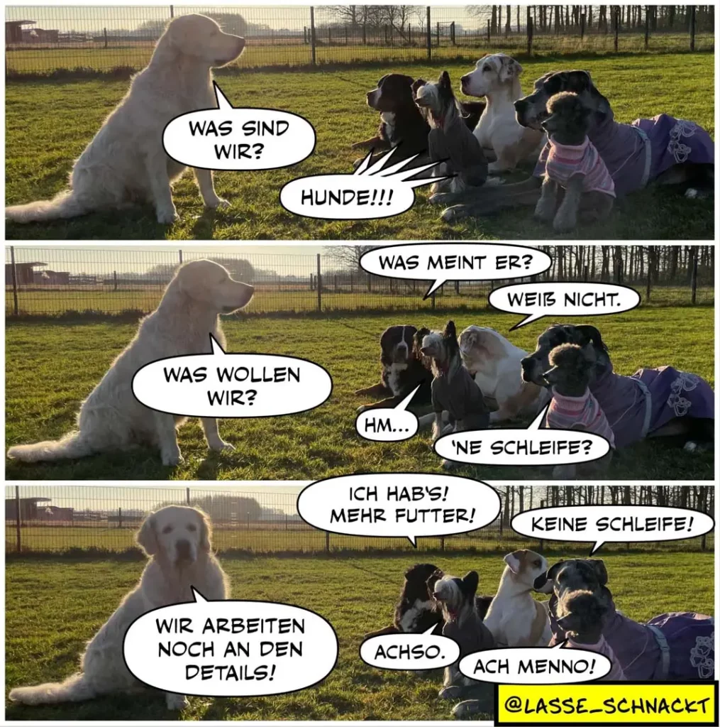 Heller Labrador sitzt vor einer Gruppe von fünf kleineren Hunden in Hundekleidung auf einer Wiese. Sprechblasen zeigen einen Dialog über Futter und Trainingsdetails.
