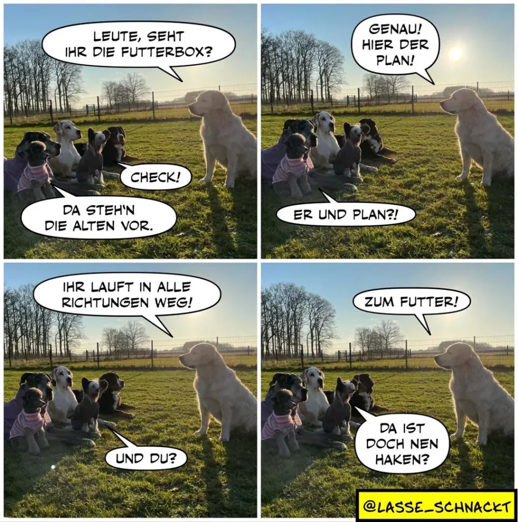 Gruppe kleiner Hunde sitzt zusammen, grosser heller Hund steht daneben. Comic-Sprechblasen zeigen Dialog über Futterbox und Plan.