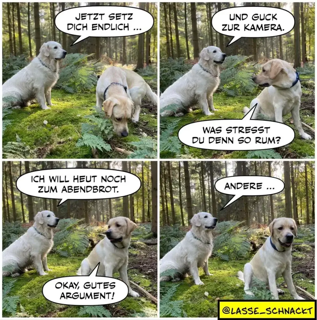 Zwei Labrador Retriever im Wald: Der erste fordert den zweiten auf, sich zu setzen. Im zweiten Panel sitzt der zweite Hund. Im dritten Panel weigert sich der Hund zu sitzen und erklärt, er wolle noch zum Abendbrot. Im vierten Panel akzeptiert der erste Hund das Argument.