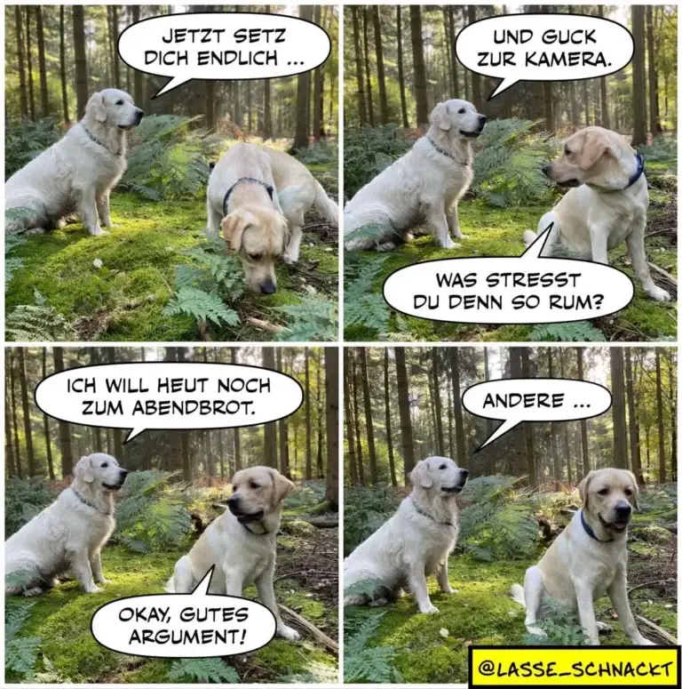 Zwei Labrador Retriever im Wald: Der erste fordert den zweiten auf, sich zu setzen. Im zweiten Panel sitzt der zweite Hund. Im dritten Panel weigert sich der Hund zu sitzen und erklärt, er wolle noch zum Abendbrot. Im vierten Panel akzeptiert der erste Hund das Argument.
