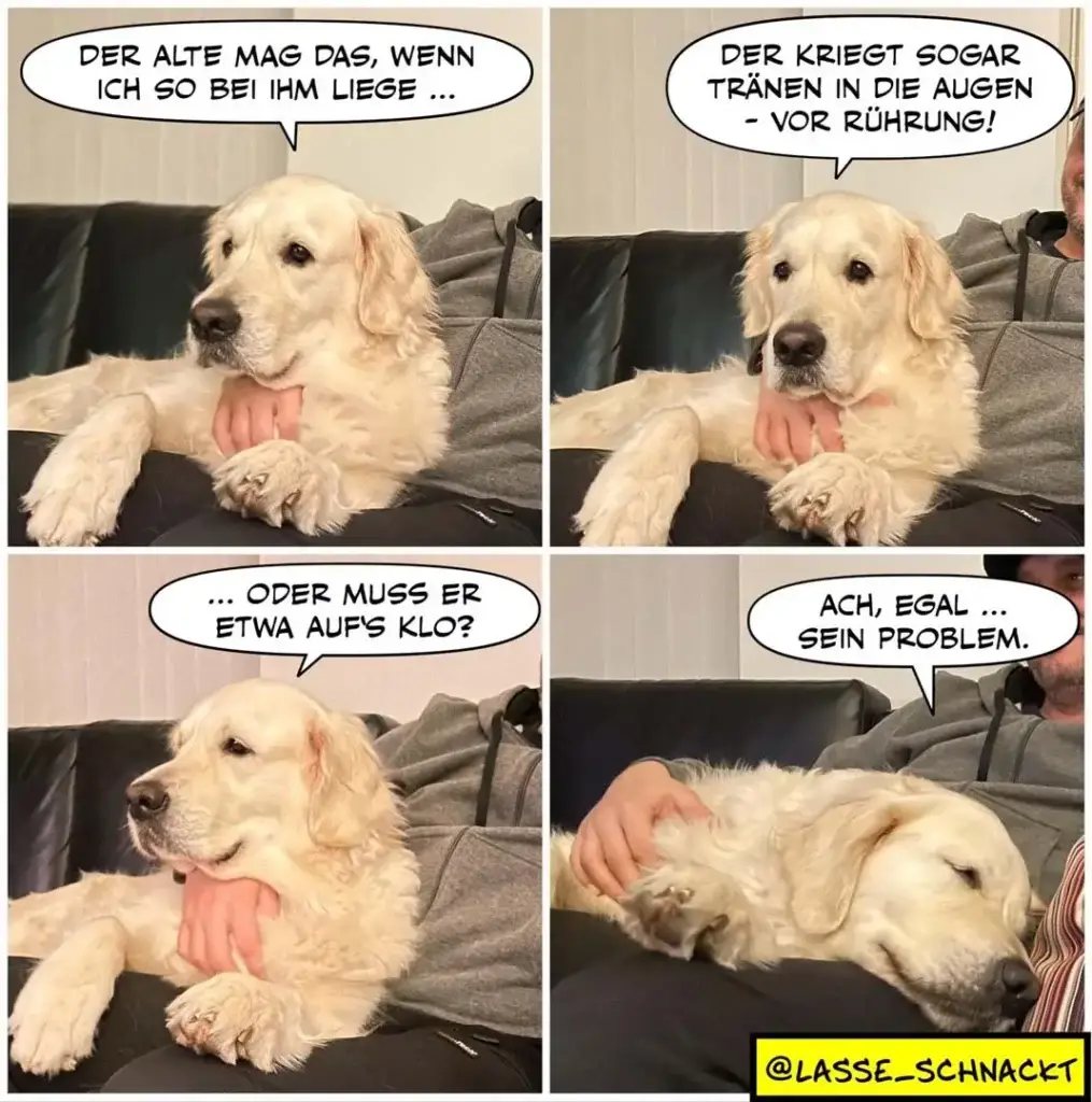 Weisser Hund auf Sofa: Panel 1-3 zeigt ihn mit heraushängender Zunge, spricht über Tränen beim Liegen. Panel 4: Halter streichelt den Hund, dieser sagt entspannt «Ach, egal – sein Problem».