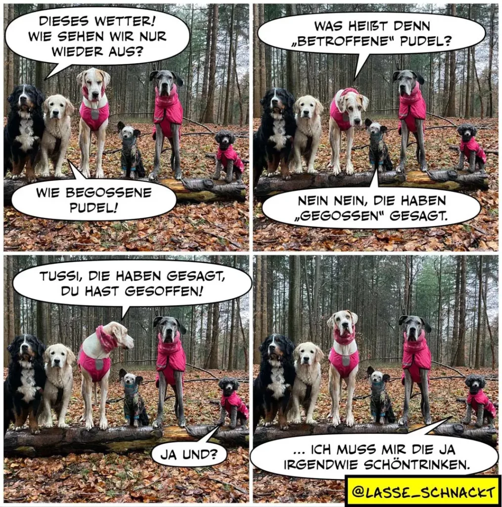 Gruppe von Hunden in pinken Regenmänteln im Wald. Der weisse Hund wird von den anderen beschuldigt, etwas gesagt zu haben, was er nicht sagte.