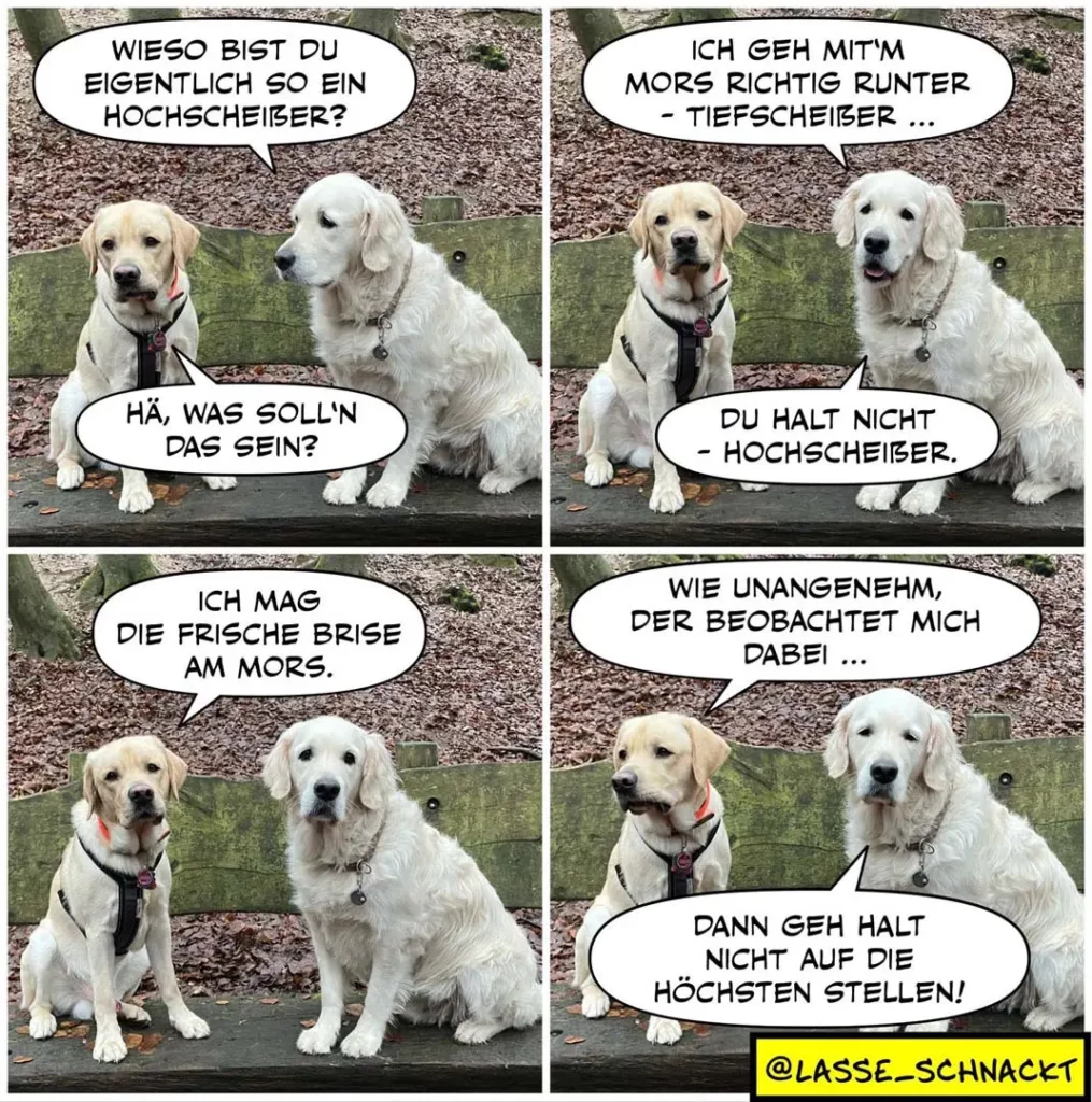 Zwei Labrador-Retriever sitzen nebeneinander. Der linke erzählt dem rechten einen Witz über Hochscheisser und Tiefscheisser, der rechte antwortet mit einem Kommentar über frische Brise am Morgen.