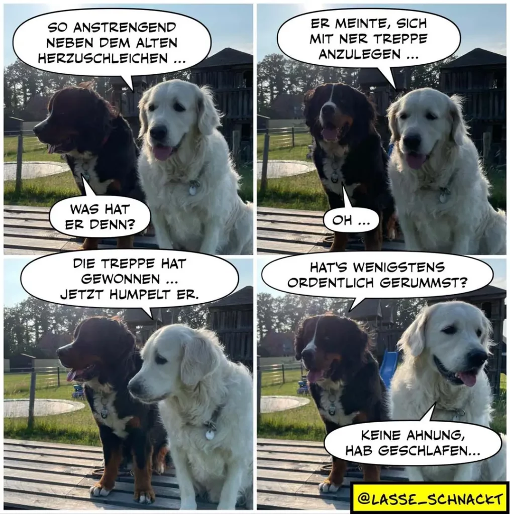Zwei Hunde auf einer Bank: schwarzer und weisser Hund im Dialog. Der schwarze Hund erzählt, der weisse reagiert überrascht.