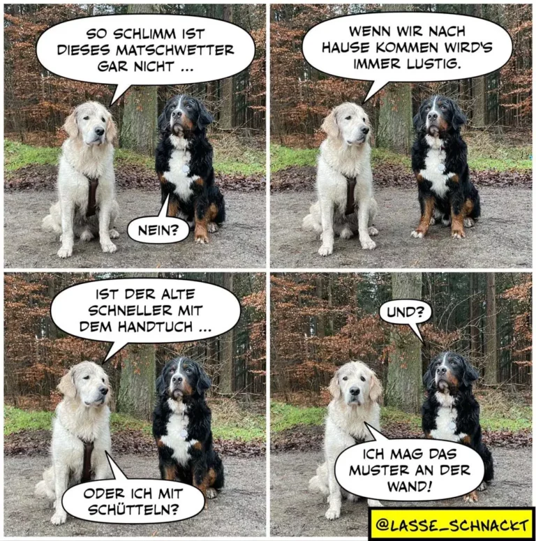Zwei Hunde sitzen nebeneinander im Wald. Der weisse Hund sagt dem schwarzen Hund etwas, der schwarze Hund antwortet mit 'Nein?'. Weitere Sprechblasen folgen in den nächsten Panels.