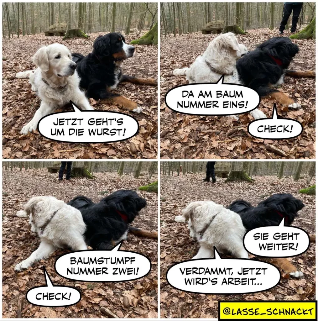 Vier Panel-Comic: Weisser und schwarzer Hund im Wald, sie verhandeln über Wurstverteilung an Baumstümpfen mit Sprech­blasen