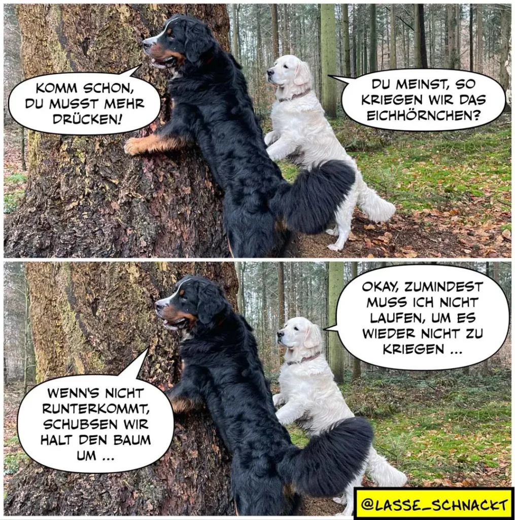 Schwarzer Hund steht auf den Hinterbeinen an einem Baumstamm, weisser Hund sitzt daneben. Dialog über Markierungsverhalten.