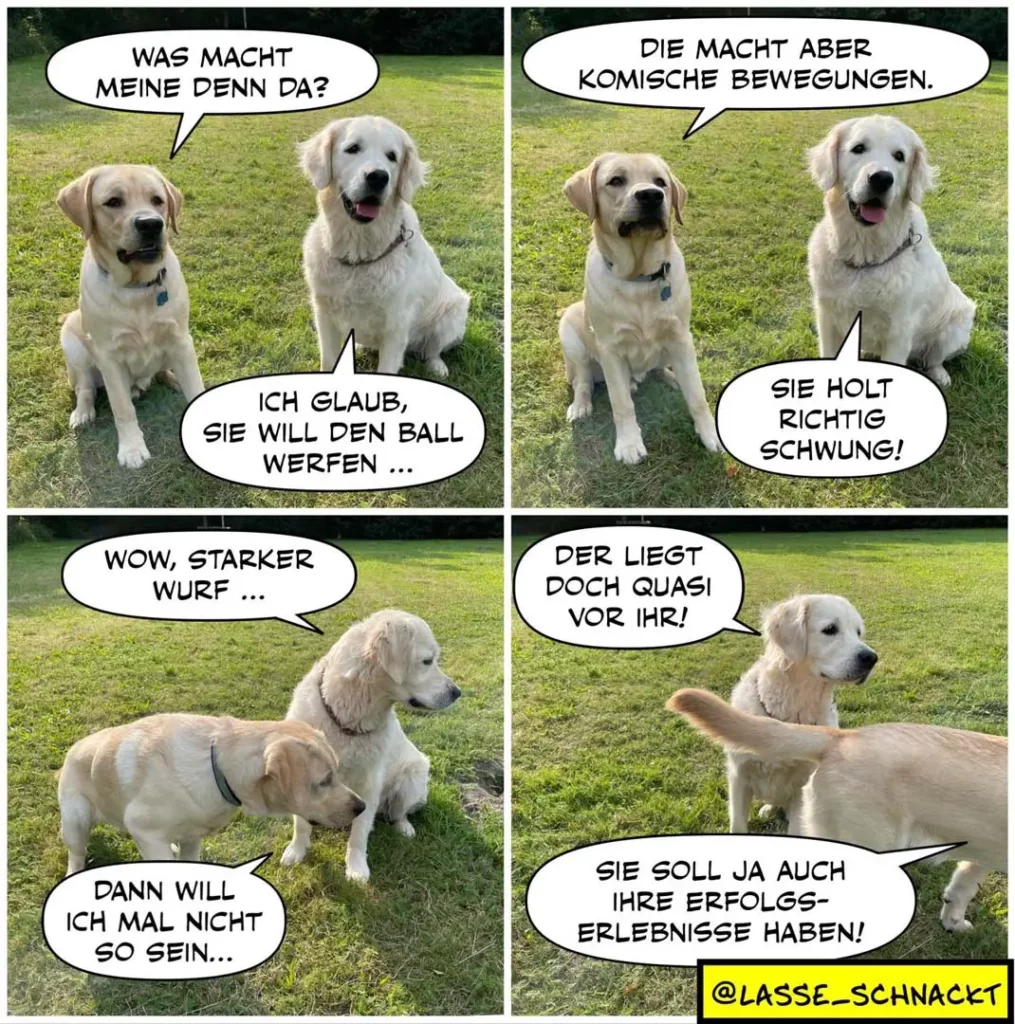Zwei weisse Labrador-Retriever unterhalten sich auf einer Wiese. Der eine erklärt dem anderen, wie man einen Ball wirft; der zweite zeigt dann komische Bewegungen und wirft den Ball selbst – mit Schwung statt wie gewünscht.