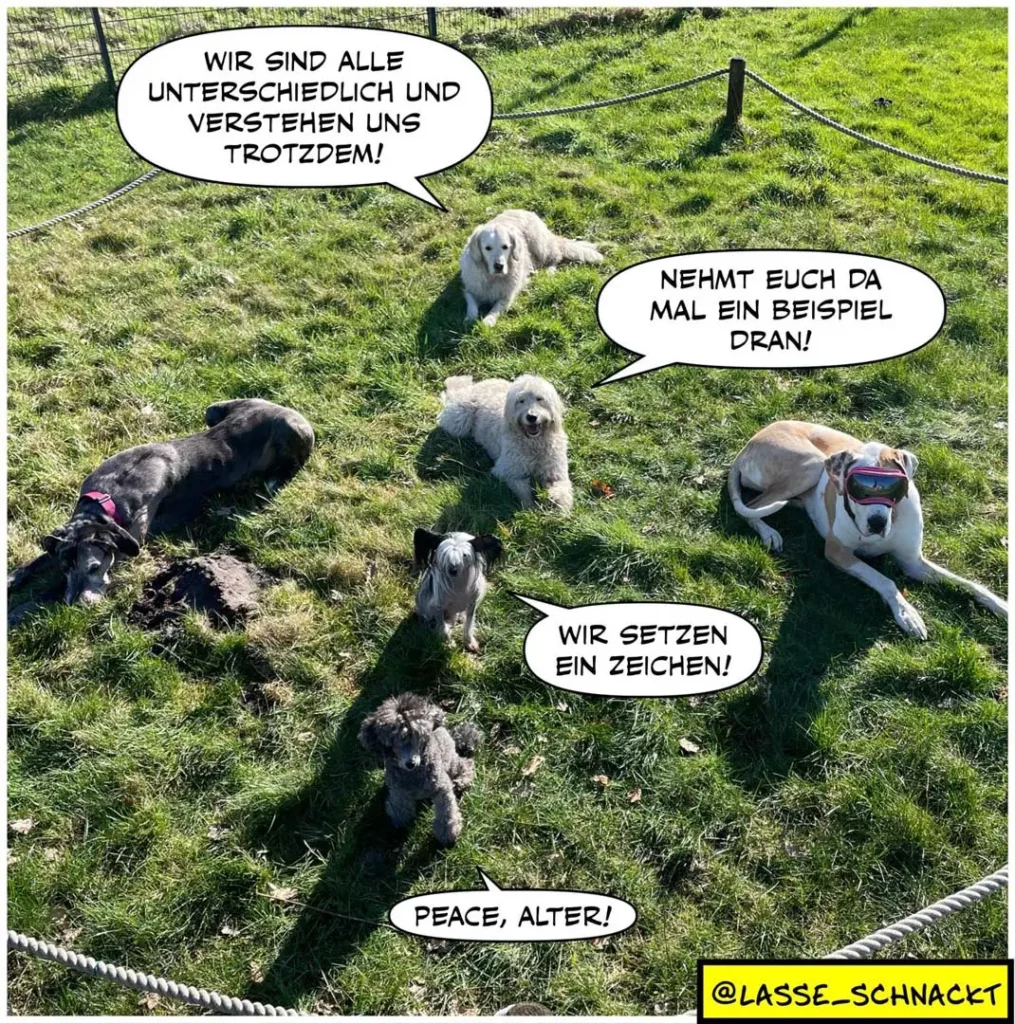 Mehrere Hunde auf einer Wiese in Diskussion: einer sagt, sie seien alle unterschiedlich und verstünden sich trotzdem, ein anderer antwortet mit einem Beispiel, der kleinste setzt ein Zeichen