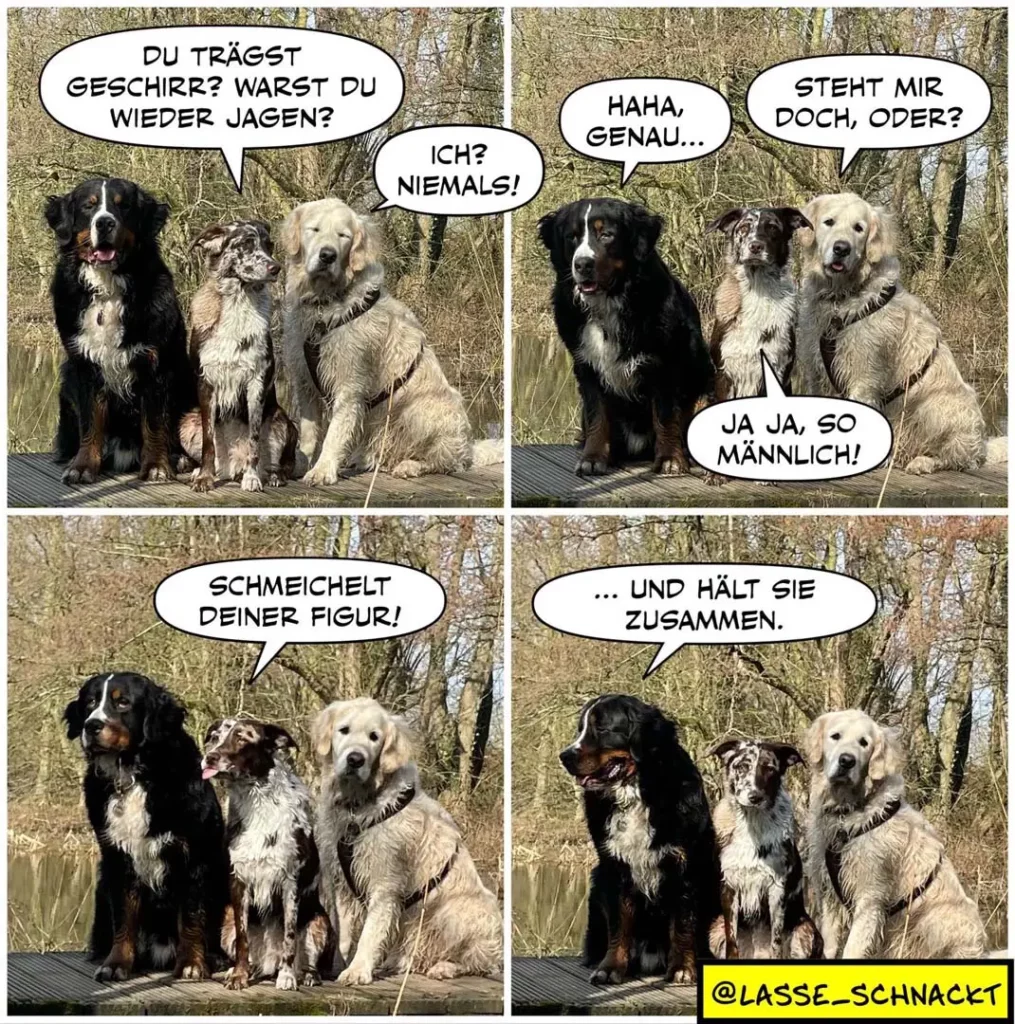 Vier Hunde sitzen zusammen. Der schwarze Hund fragt den beigen, ob er wieder jagen will. Der beige antwortet zögerlich. Der schwarze Hund sagt, er solle seine Figur schmeicheln und sie zusammenhalten.