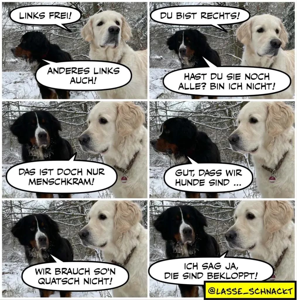 Zwei Hunde im Schnee: schwarzer Hund links spricht mit cremefarbenem Labrador rechts. Sechsteiliger Comic-Strip mit Sprechblasen.
