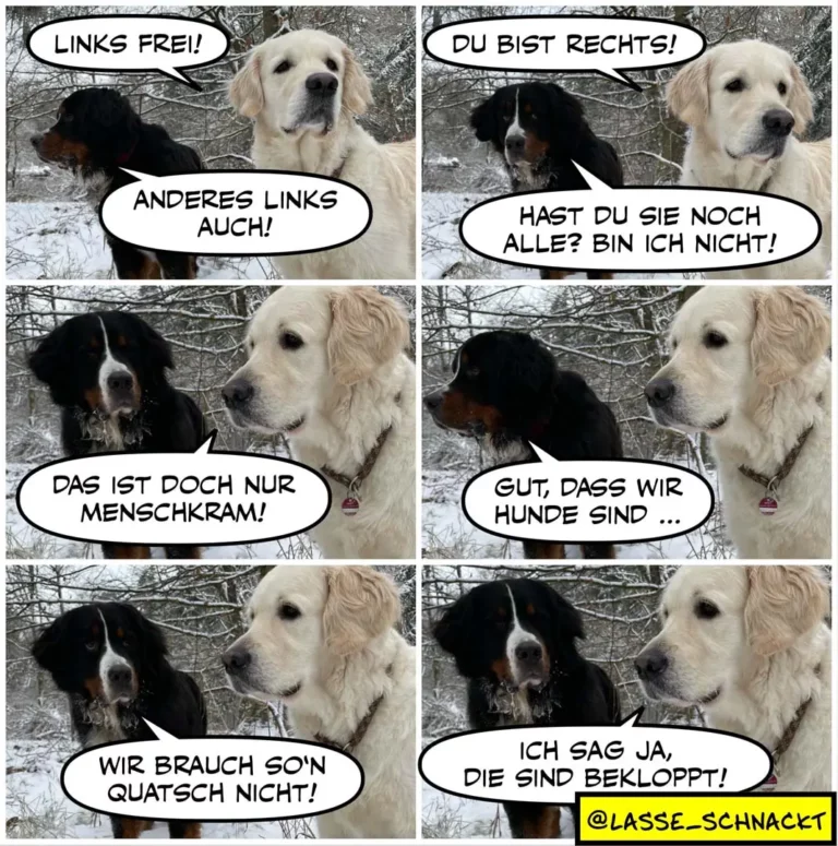 Zwei Hunde im Schnee: schwarzer Hund links spricht mit cremefarbenem Labrador rechts. Sechsteiliger Comic-Strip mit Sprechblasen.