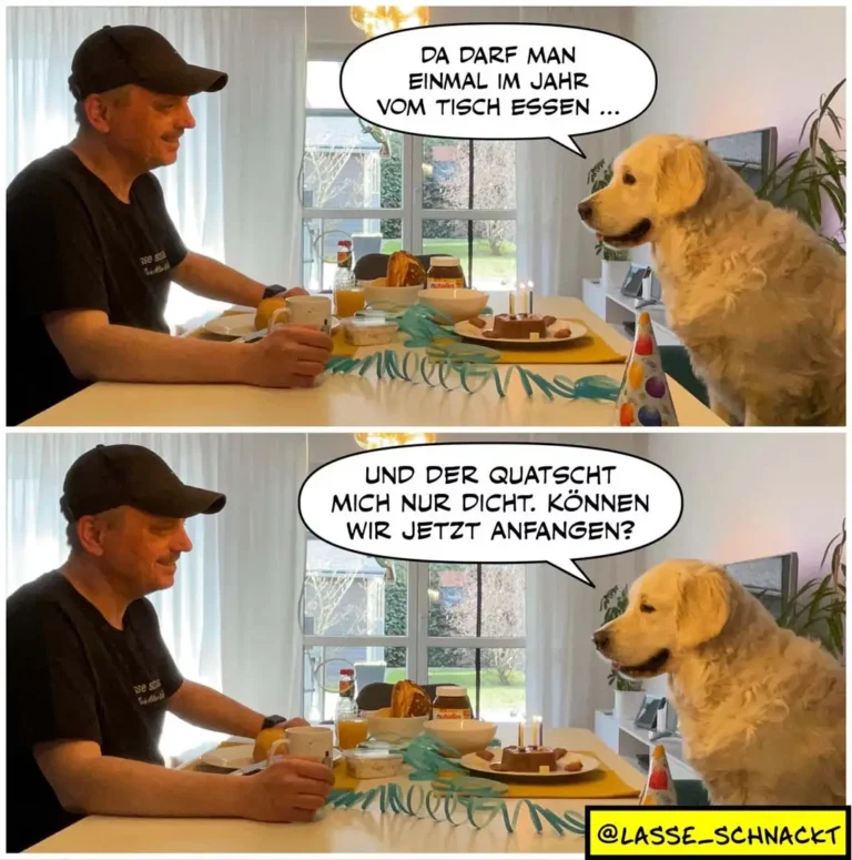 Mann mit Kappe sitzt am Tisch beim Essen, Golden Retriever sitzt neben ihm und schaut zu. Sprechblase: 'Da darf man einmal im Jahr vom Tisch essen... Und der Quatscht mich nur dicht. Können wir jetzt anfangen?'