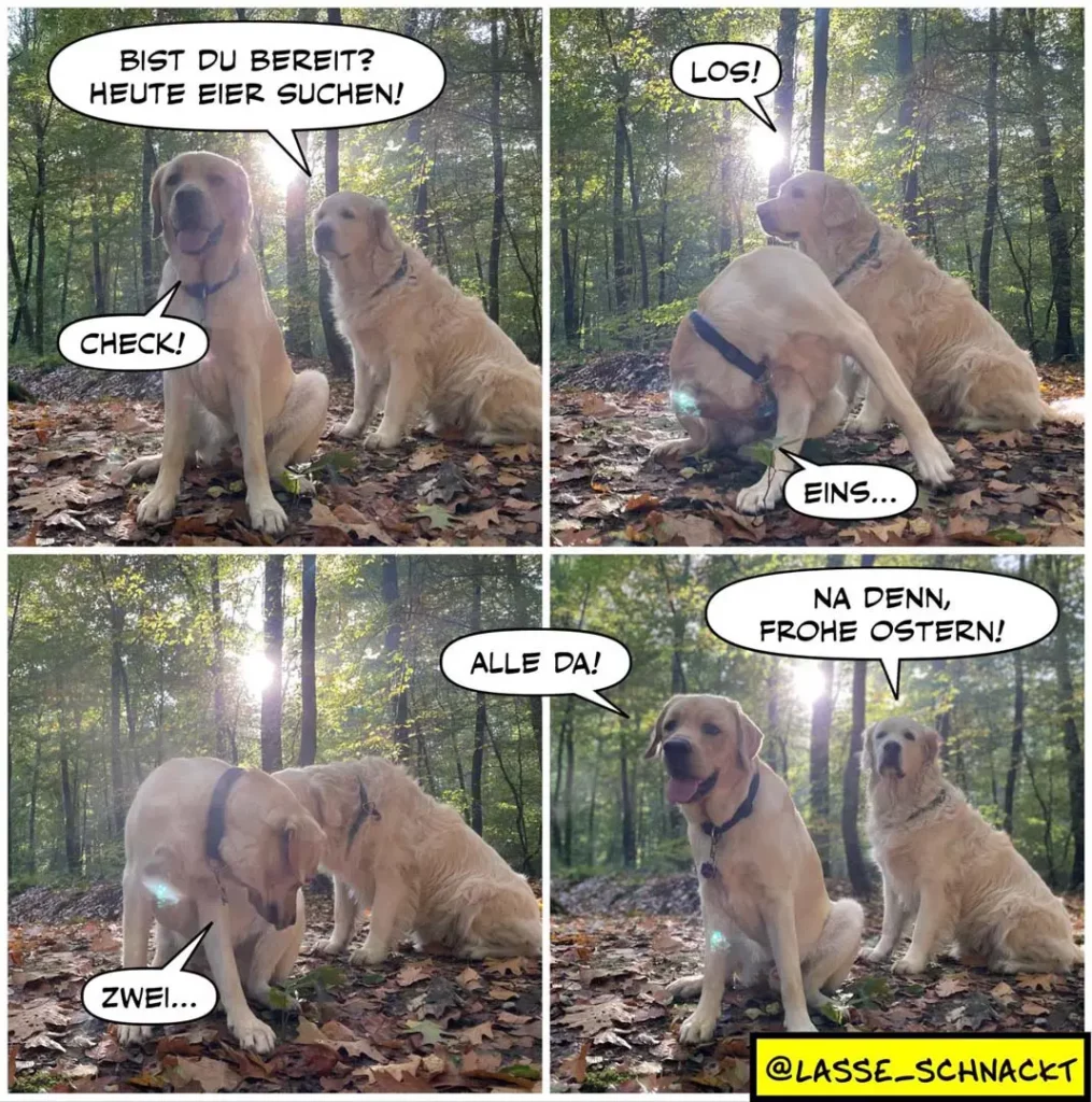 Zwei Labrador Retriever im Wald: Erster Hund fragt nach Eiern, zweiter findet sie nacheinander, am Ende gratulieren sich beide zu Ostern.