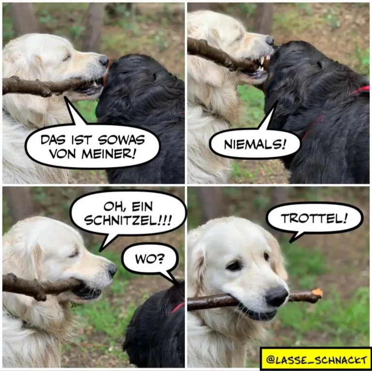 Weisser Hund und schwarzer Hund kauen gemeinsam an einem Ast. Dialog zeigt Missverständnis: «Das ist sowas von meiner!» – «Niemals!» – «Oh, ein Schnitzel!!!» – «Trottel!»