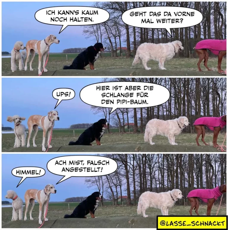 Sechs Hunde in einer Reihe auf einer Wiese. Der schwarze Hund in der Mitte sagt: «Ich kann's kaum noch halten» und «Ach mist, falsch angestellt!» während er eine Leine hält.