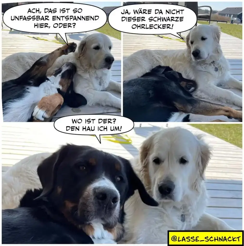 Weisser Hund liegt auf Deck, schwarzer Hund hebt Pfote und sagt etwas, im dritten Panel schauen sich beide an