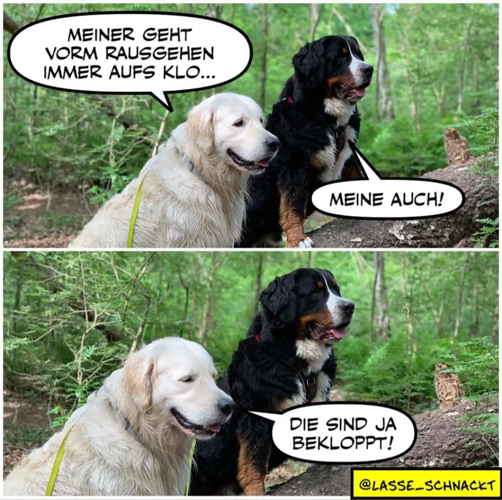 Weisser Hund zu schwarzem Hund: «Meiner geht vorm Rausgehen immer aufs Klo...» Schwarzer Hund antwortet: «Meine auch!»