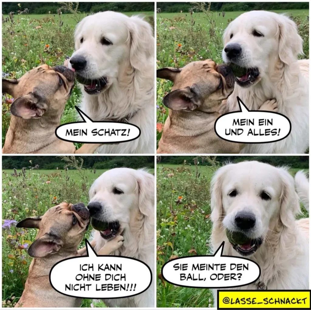 Weisser Labrador und brauner Hund in vierteiliger Comic-Szene auf Wiese mit Blumen; Dialog über Besitzverhältnisse und einen Ball