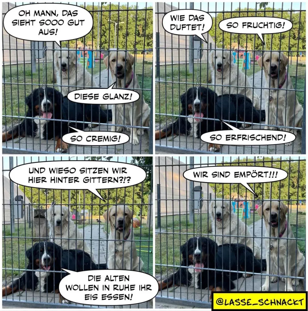 Schwarzer Hund hinter Gitter spricht mit zwei hellbraunen Hunden dahinter. Der schwarze Hund lobt sein Aussehen, die anderen antworten mit Komplimenten, dann beschwert sich der schwarze Hund über das Sitzen hinter Gittern.