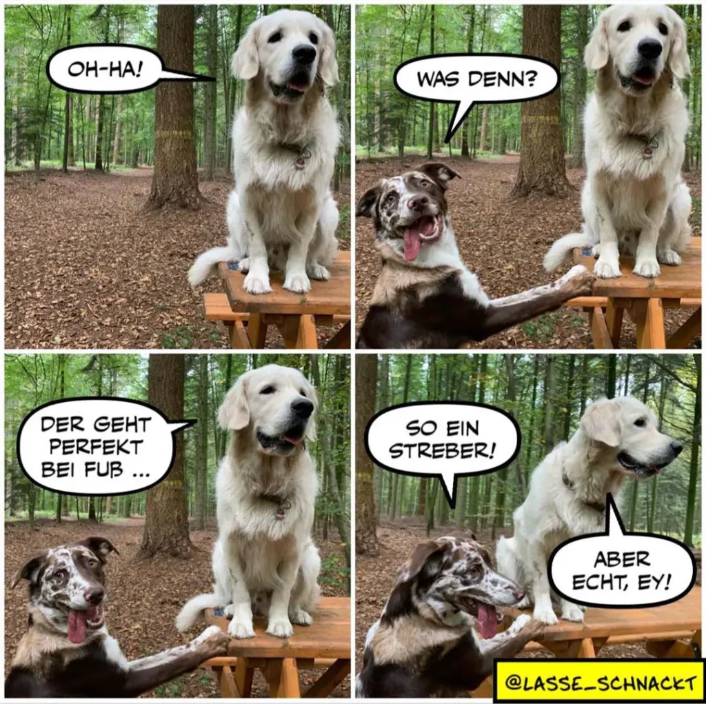Weisser Labrador sitzt auf Bank im Wald, spricht mit kleinerem braunem Hund: vier Panel zeigen humorvolle Konversation über Fussbad