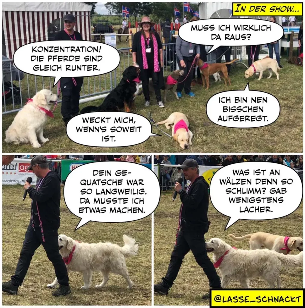 Hunde bei einer Hundeshow: Halter führt weissen Hund an der Leine, während andere Hunde und Halter zuschauen. Unten: Halter führt denselben Hund im Trab vor, Hund läuft entspannt neben ihm.