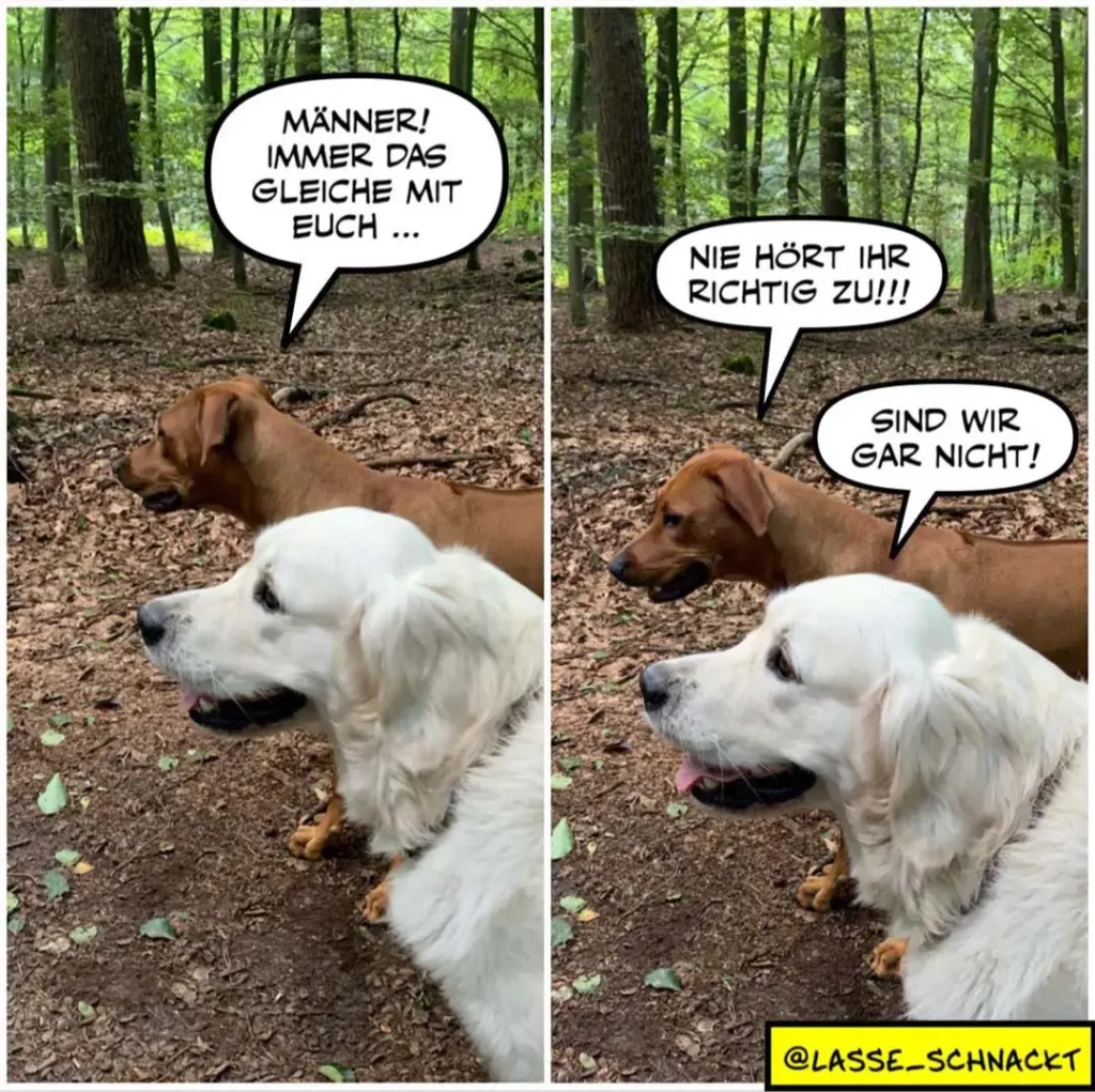 Zwei Hunde im Wald: weisser Hund sagt zu braunem Hund «Männer! Immer das gleiche mit euch...», brauner antwortet «Nie hört ihr richtig zu!!!» und weisser kontert «Sind wir gar nicht!»